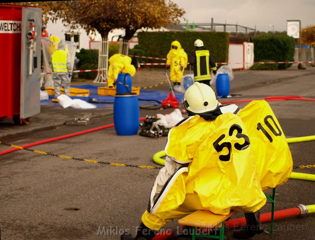 Saureaustritt Koeln Loevenich Daimlerstr P071.JPG